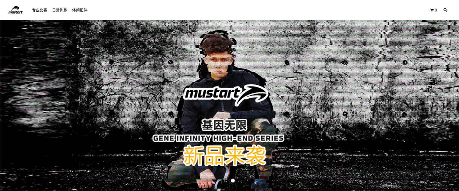 上线了网站案例 上线了网站案例